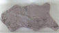  Fellteppich Dekofell 60x90cm Grau Kaminvorleger Kunstfell Fellimitat Bettvorleger