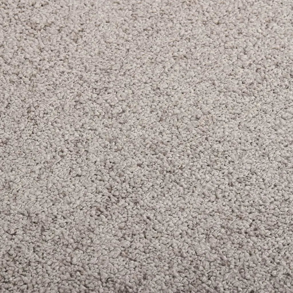  VidaXL Fußmatte 80x120 Cm Grau