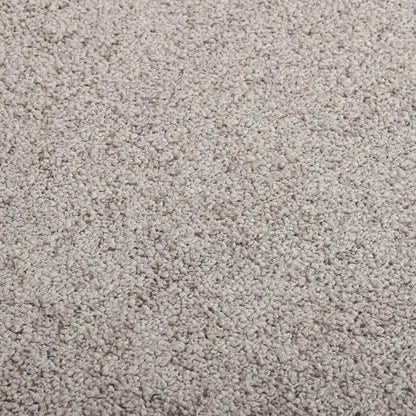  VidaXL Fußmatte Grau 40x60 Cm