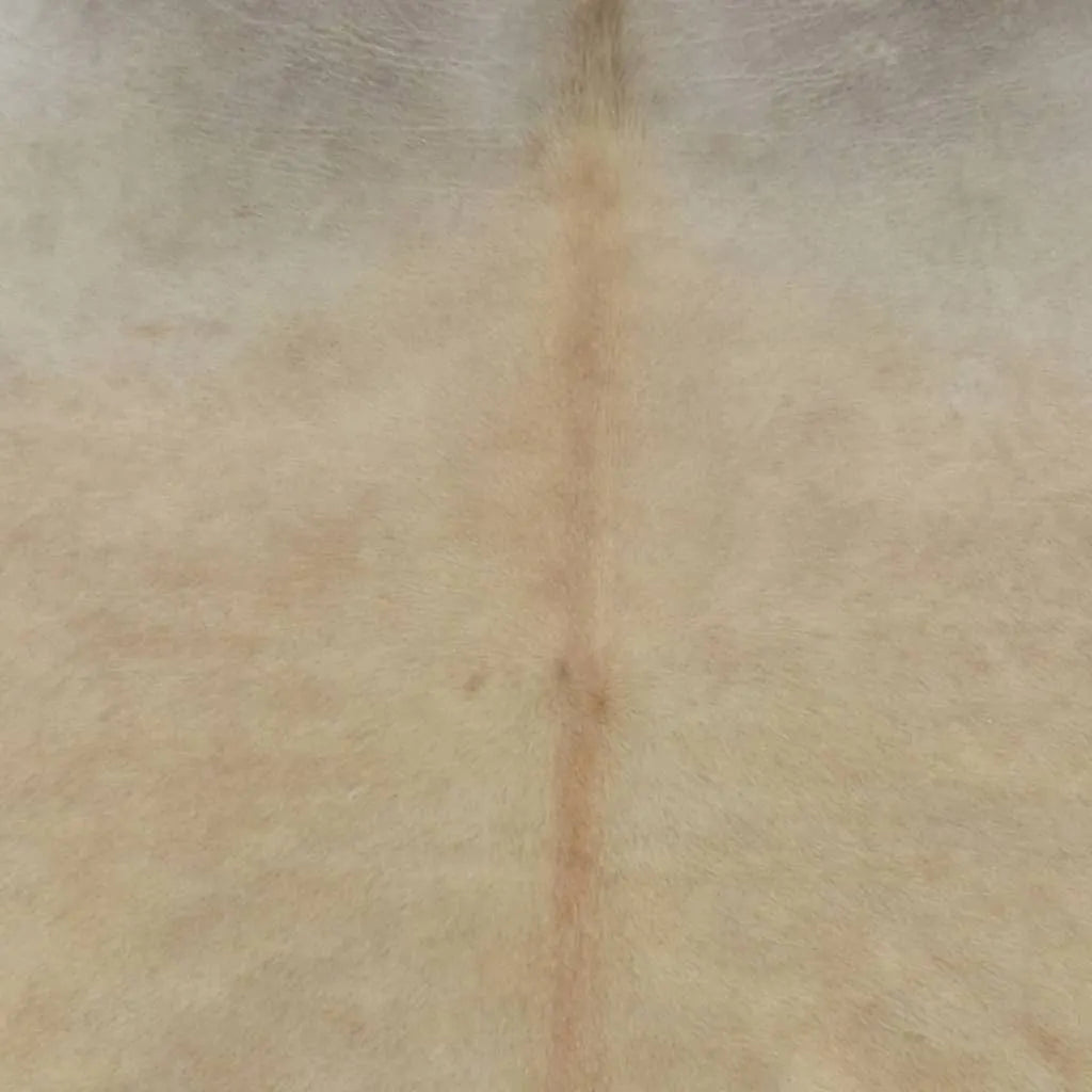  VidaXL Teppich Echtes Kuhfell 150×170 Cm Beige
