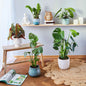  BUTLERS ALL NATURE Hanf-Teppich Ø110cm